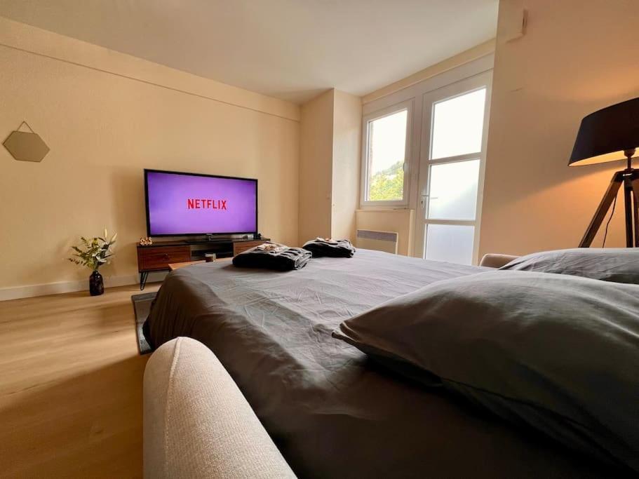 Appartement Climatise 4Prsn Au Pied De La Citadelle Besançon Exterior foto